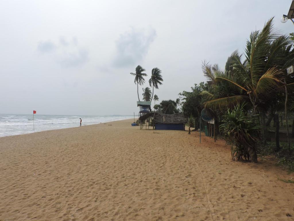 Sea View Beach Hotel photo