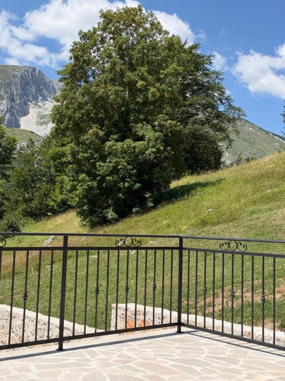 Monte Casa Žabljak - 2