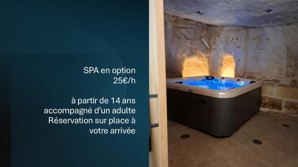 La Petite Mésange & option SPA - 2