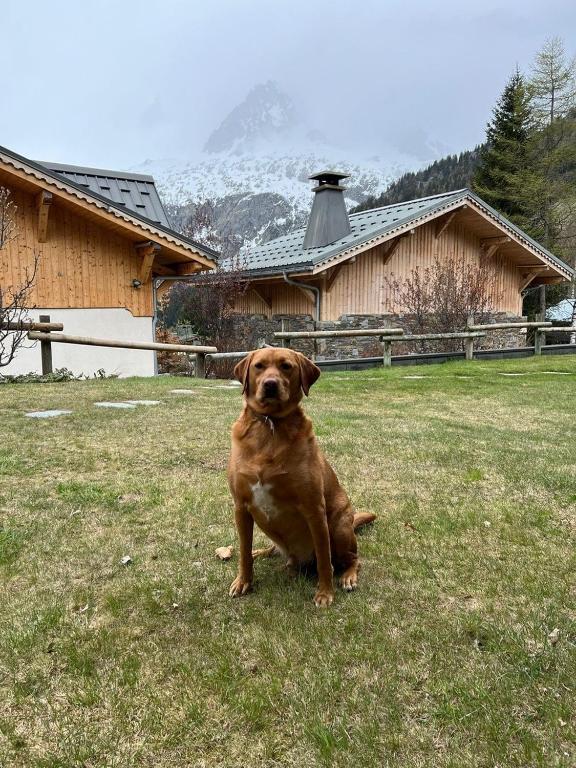 Cosy Apartment in Le Tour Chamonix - 4
