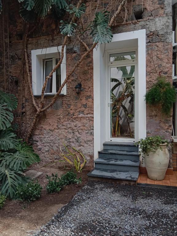 Casa Bouganville - 1