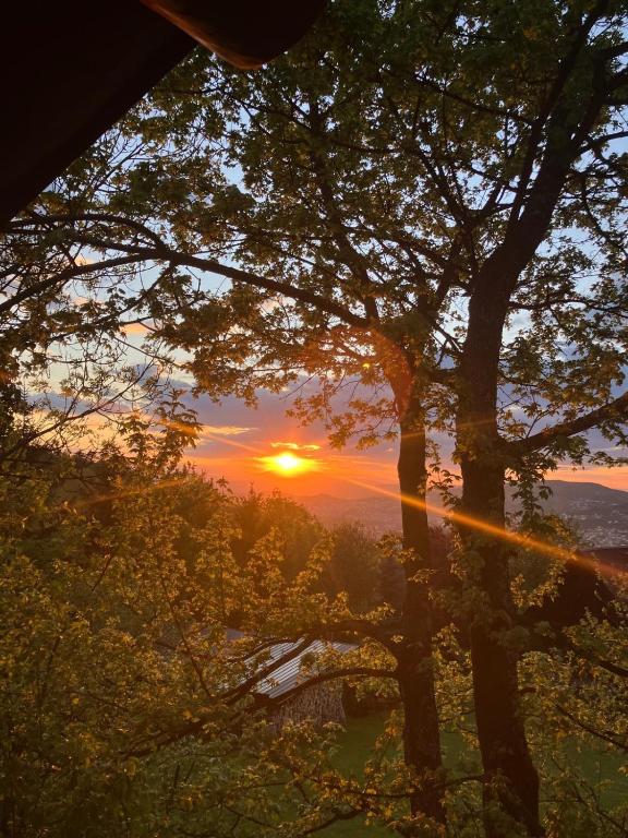 Sunset Camping Olywood - 1
