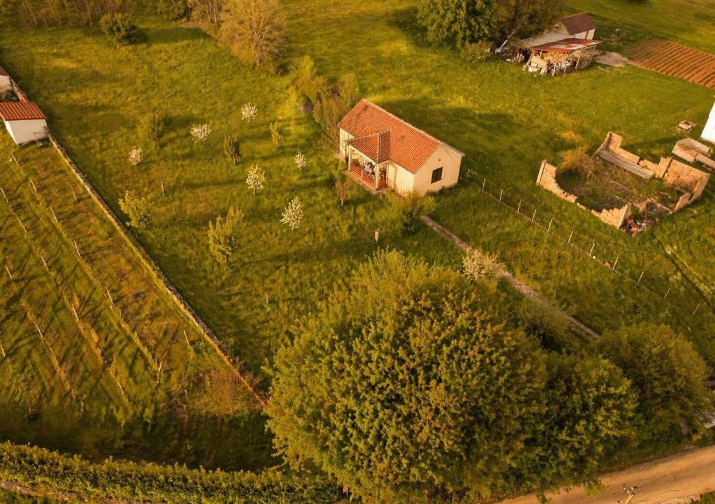 Green Cottage - 2