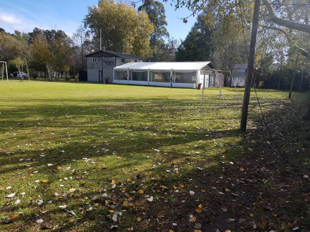 El Campito - 1