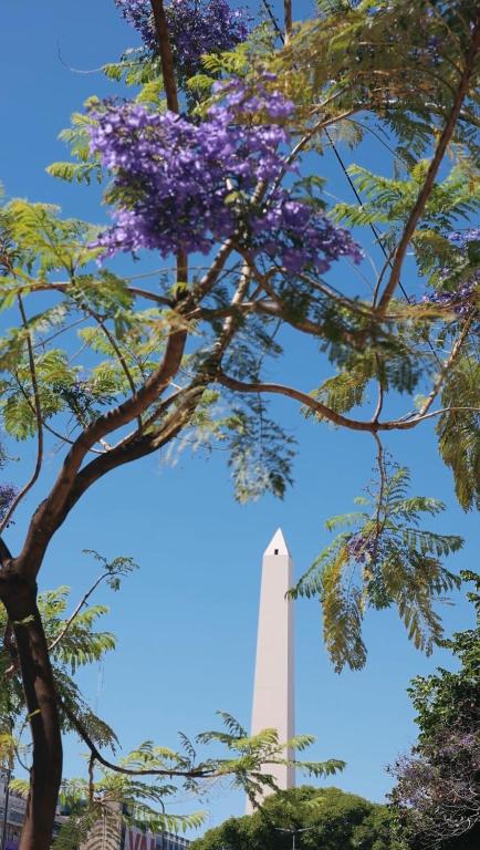 Bright in the city, Obelisco view - 3