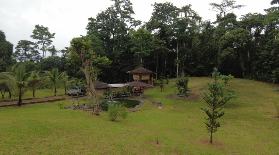 Casa del árbol - zona para acampar - 1