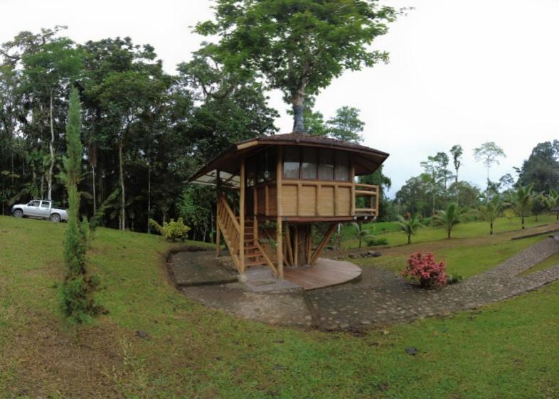 Casa del árbol - zona para acampar - 3