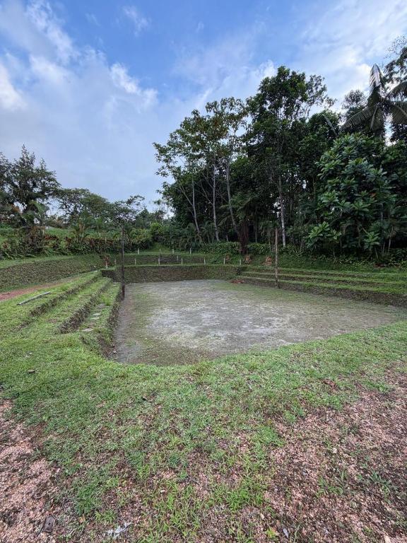 Casa del árbol - zona para acampar - 4