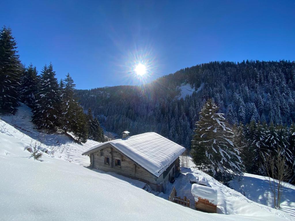 Chalet Philomena - 4