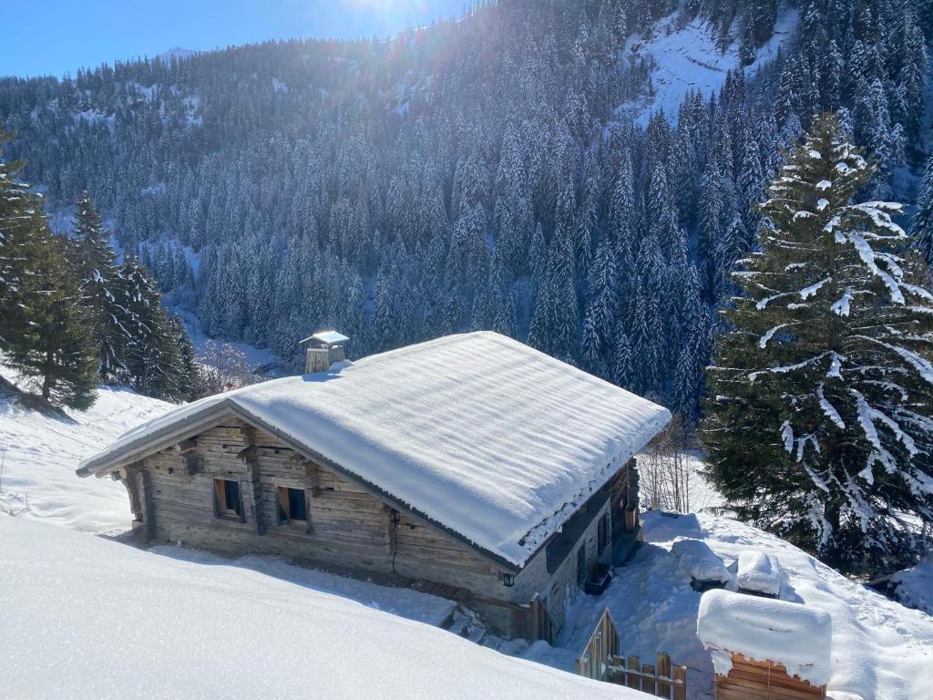 Chalet Philomena - 5