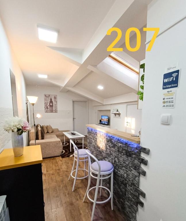 Apartment 207 - 1