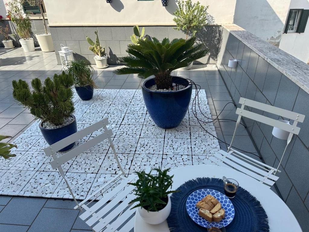 Terrazza Oasi - 2