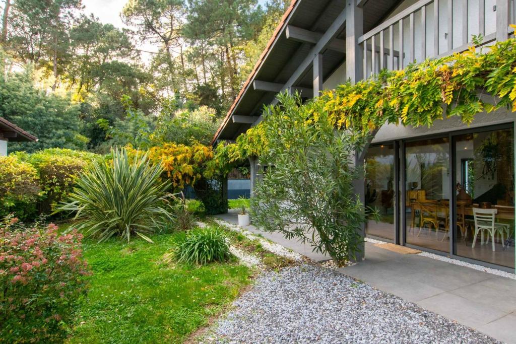 Villa La La Landes - Hossegor - Piscine - 3