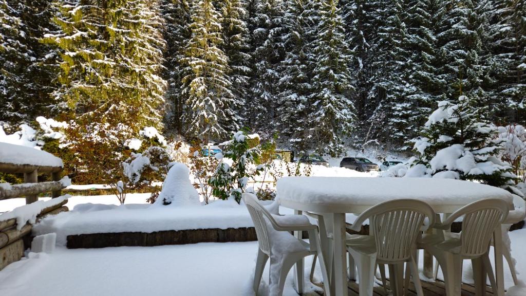 Appart 4 pers, ménage compris, parking et terrasse - 3