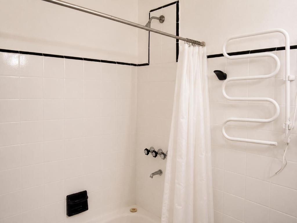 Comfortable apartment in Recoleta - 3