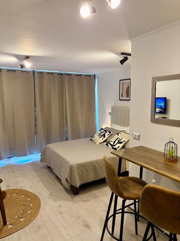 Cozy studio Paseo Bulnes y Moneda metro con Terraza - 2