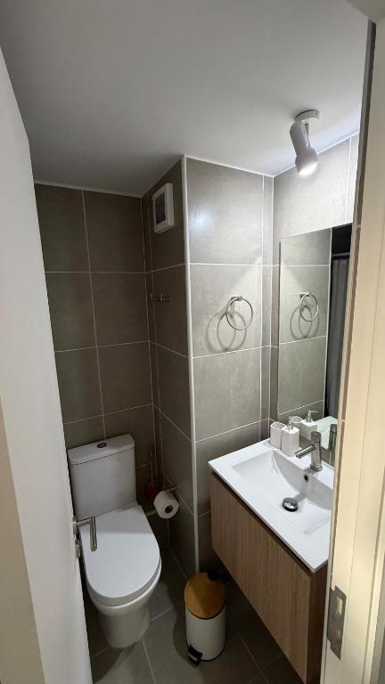 Cozy studio Paseo Bulnes y Moneda metro con Terraza - 5
