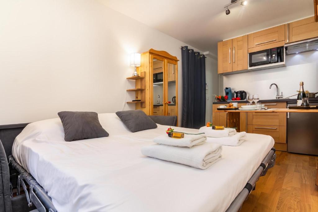 Apt Paccard305 Central Chamonix Studio, near Brevent lift for 2 - Happy Rentals - 3