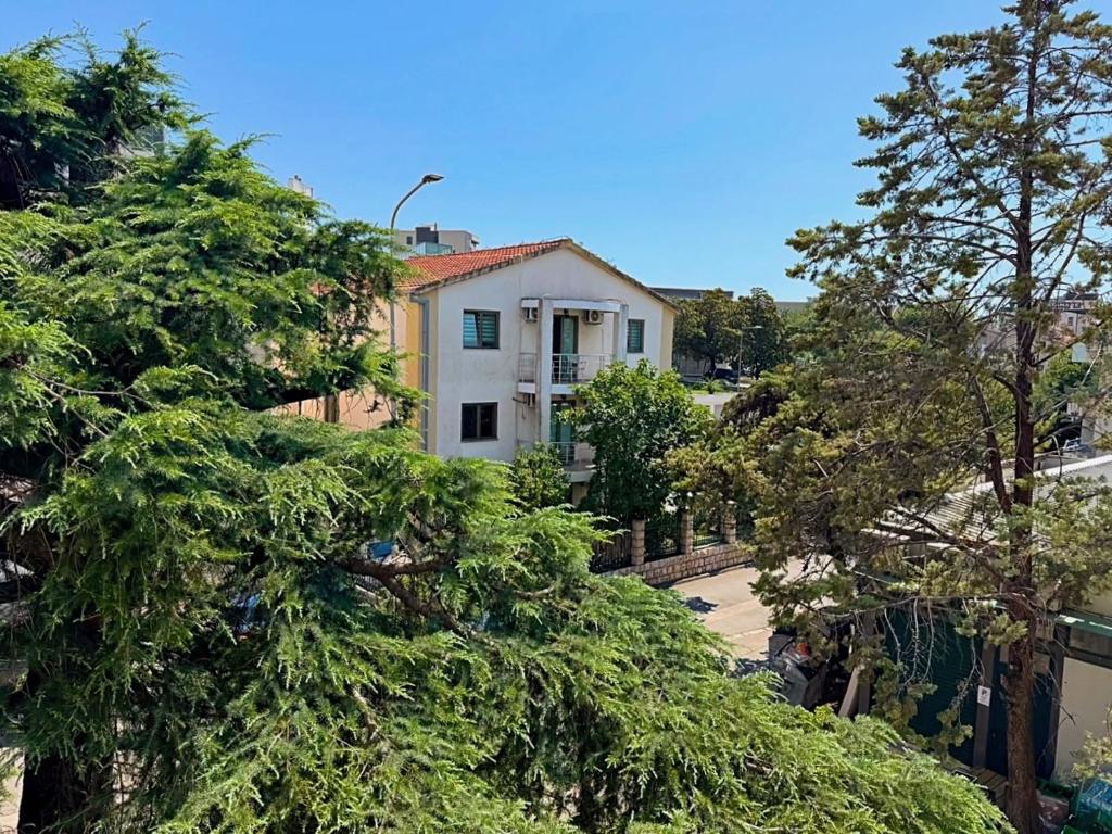 The Pine story, Cozy terrace 5 min to beach - 5