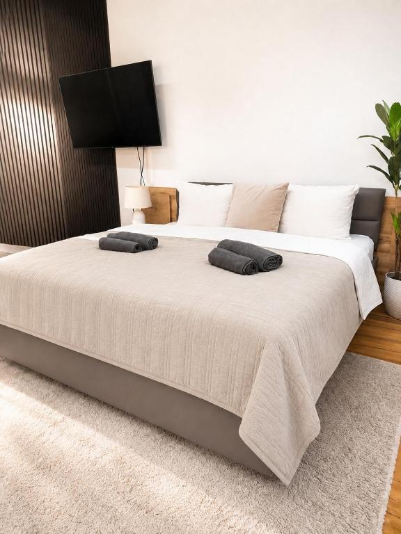 Altstadt-Loft Würzburg - 2