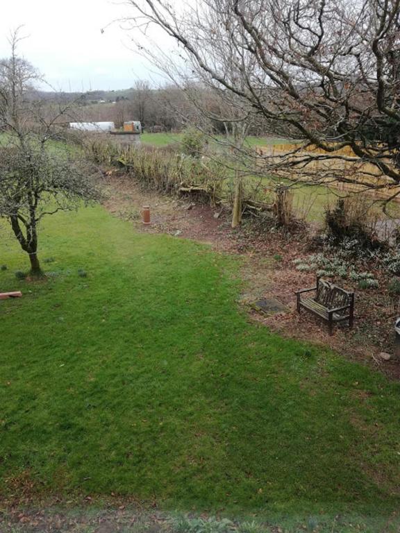 Ty Newydd, Llangadog photo 8