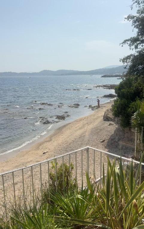 Waterfront villa between Cannes and St-Tropez - 5
