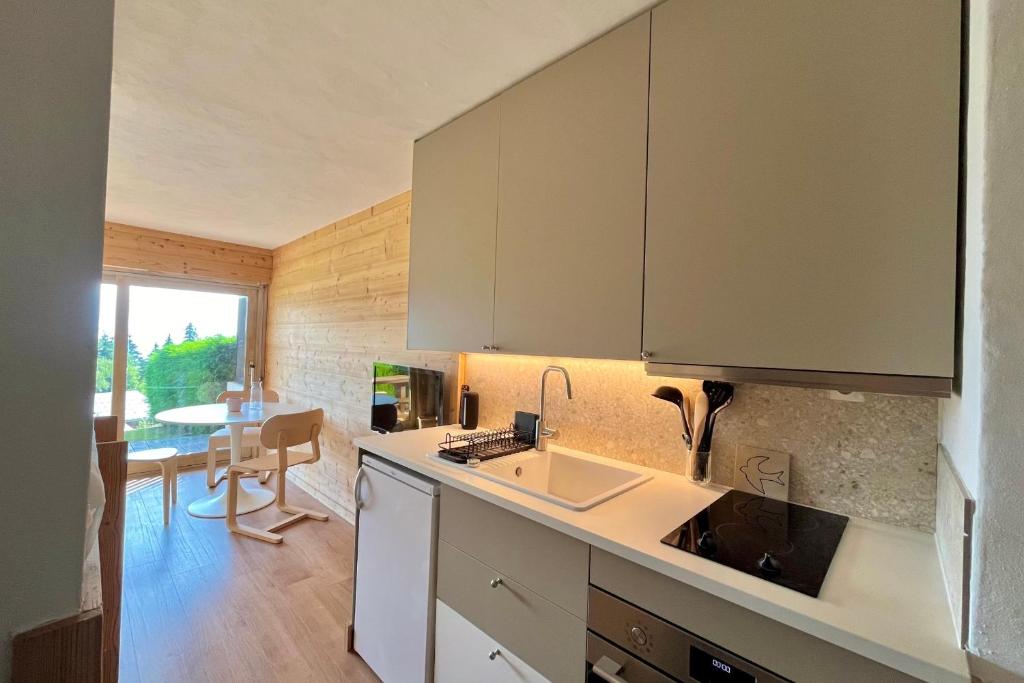 Studio vue Mont-Blanc terrasse et jardin - 5