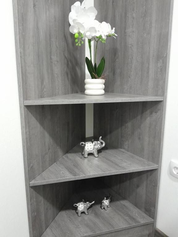 Apartmani Milan 2 - 3