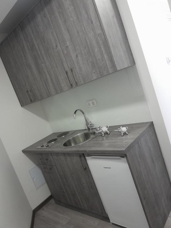Apartmani Milan 2 - 5