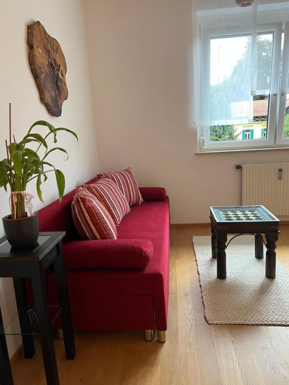 Garconniere mit Wohlfühlcharakter - 5