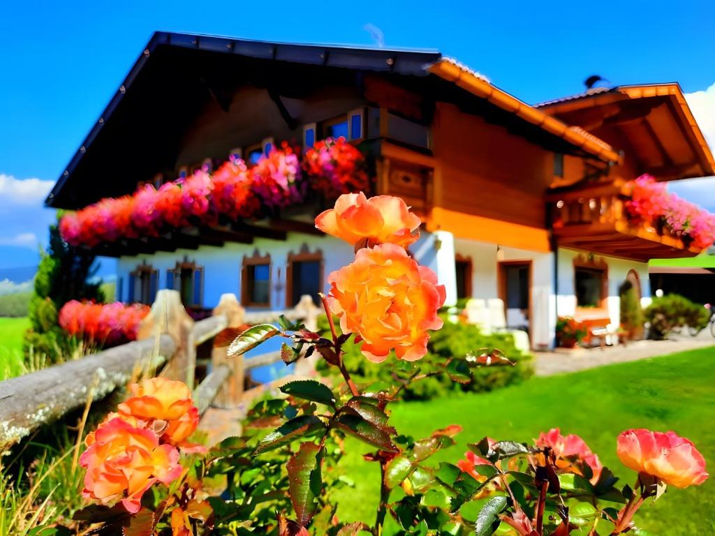 Binterhof - 4