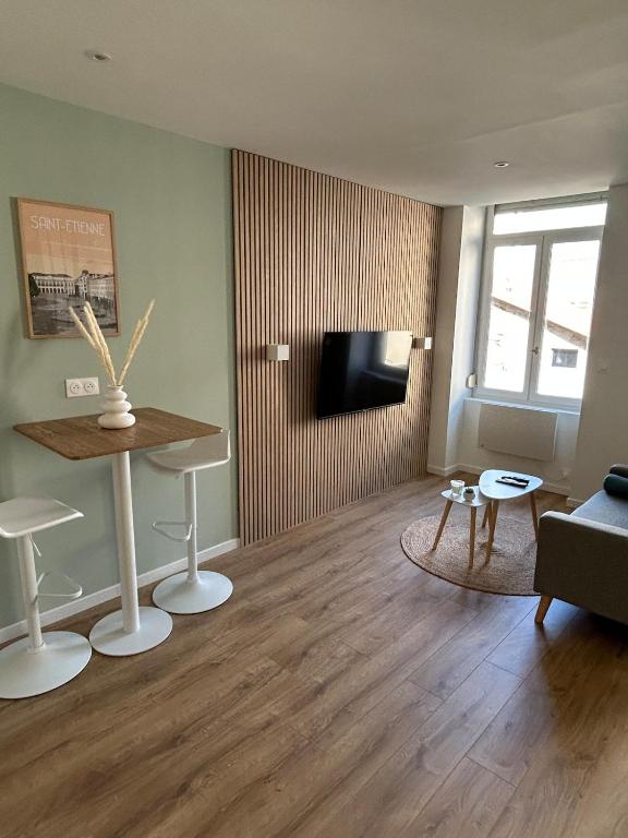 Studio cosy Saint Etienne gare - 1