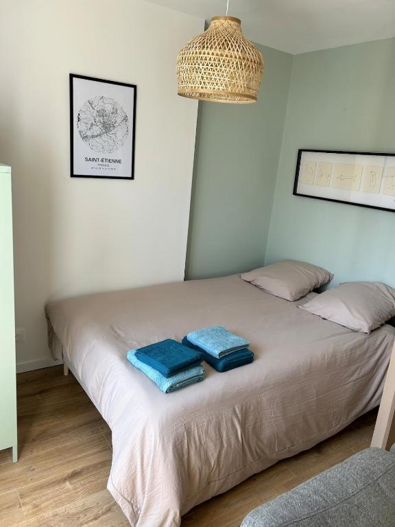 Studio cosy Saint Etienne gare - 2