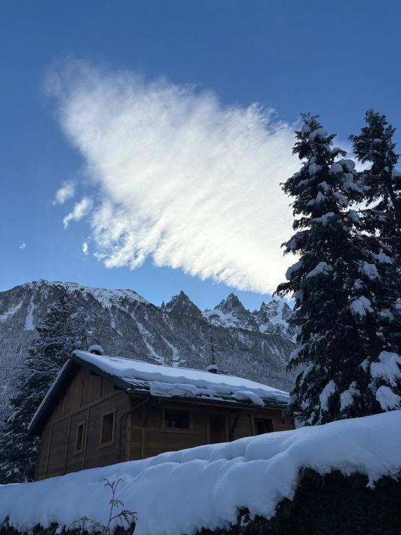 Chalet ISATIS - 5