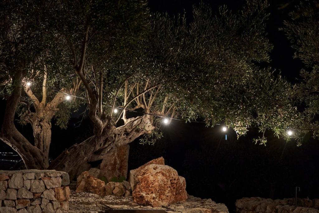 House Trulli Antonelli - 3
