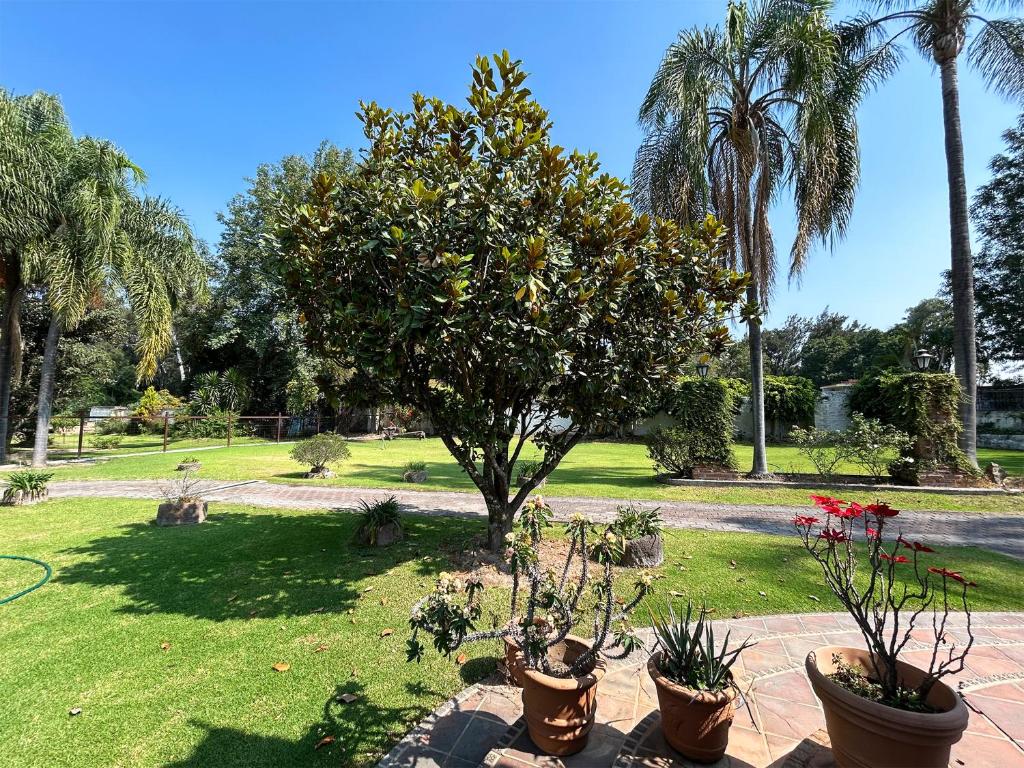 Hacienda Casa Grande - 2