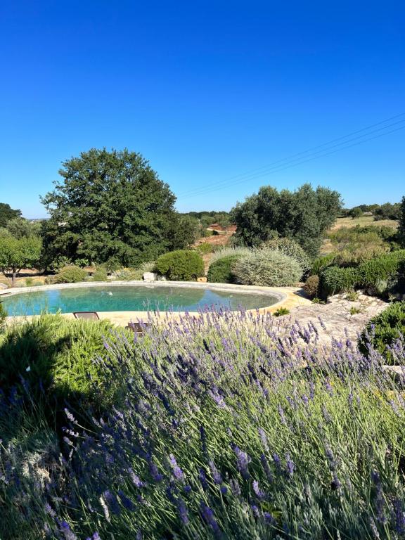 Trullo Guardiano - 4