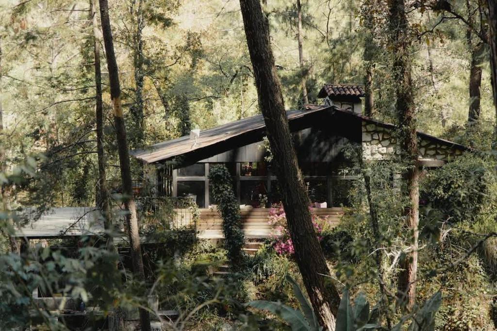 El verdadero lujo es la naturaleza - 1