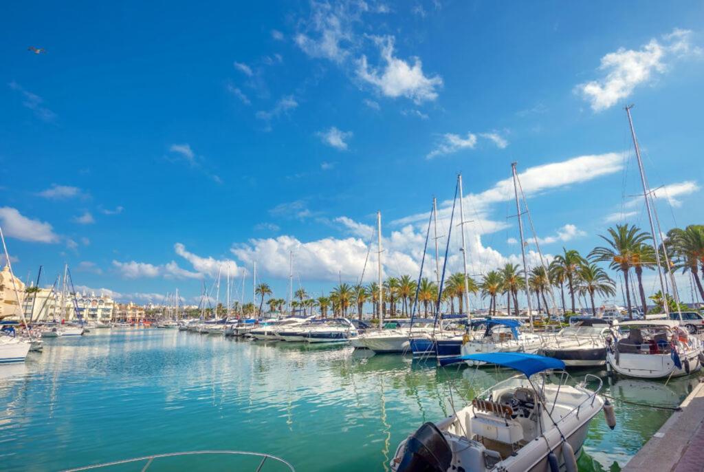 Puerto Marina Island - 2