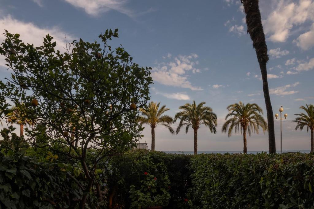 Private garden beach - 5