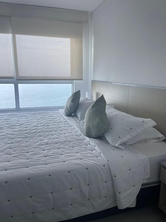 apartamentos frente al mar palmettos beach eliptic uno - 3