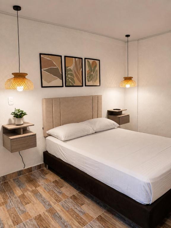 Eco-Hotel Palma É Coco - 3