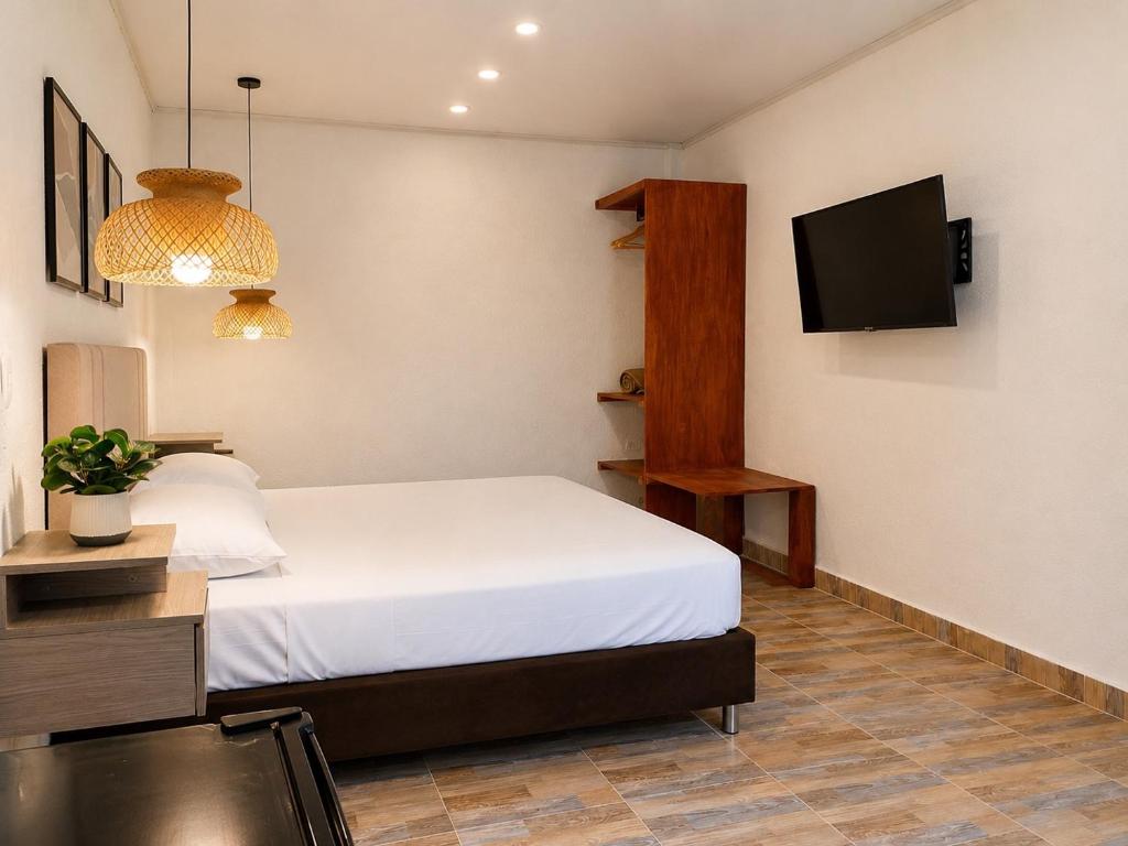 Eco-Hotel Palma É Coco - 4