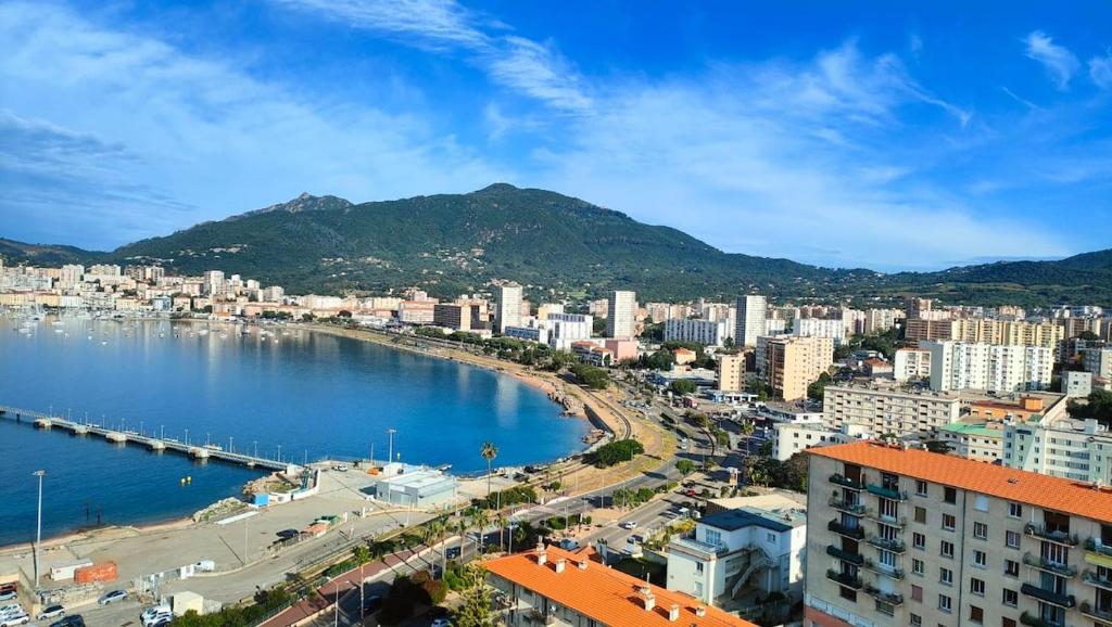 Ajaccio appartement de luxe deux chambres vue panoramique plage à pied - 1
