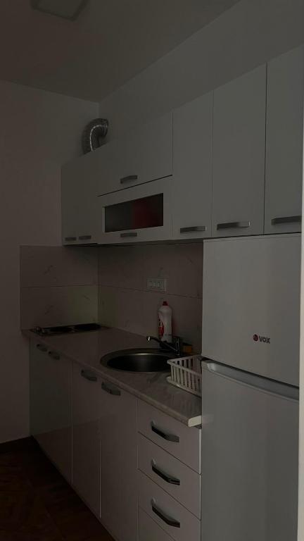 Apartman Trajković Sokobanja - 3