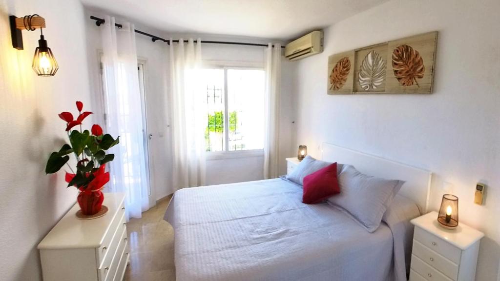 Siesta 7 - 1