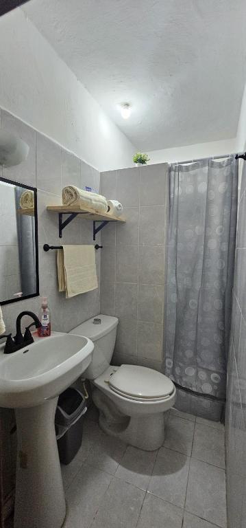 Lindo departamento - 3
