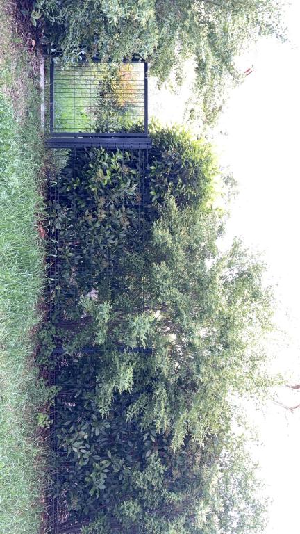 Charming 2 room garden level with garage - 3