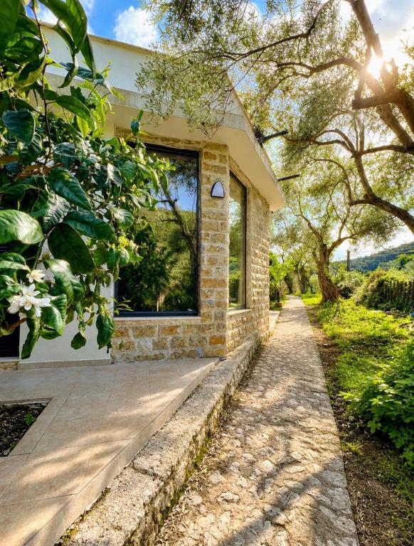 Olive Escape - 1