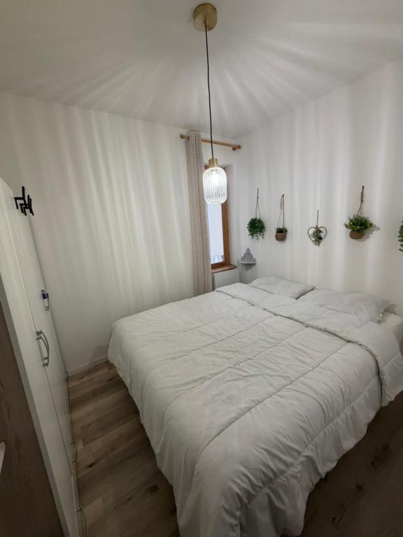 Chalet Lys familial - Saint-Sorlin-d Arves - 4